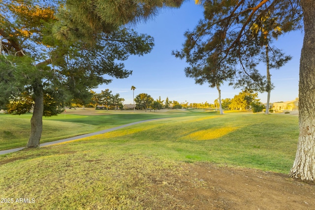 surrounding community with a yard