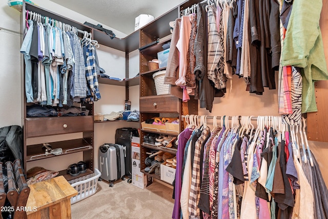 spacious closet with carpet flooring