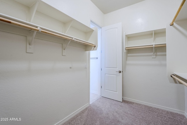 walk in closet featuring light carpet