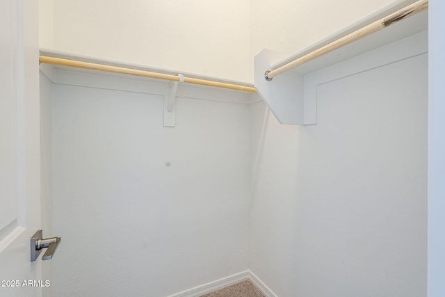 view of spacious closet