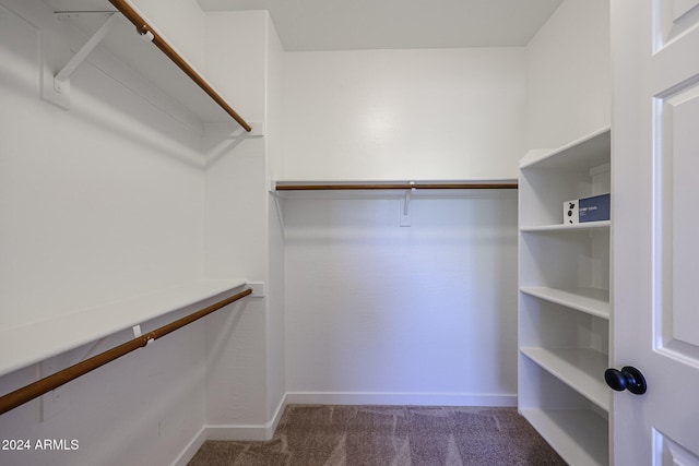 walk in closet featuring carpet flooring