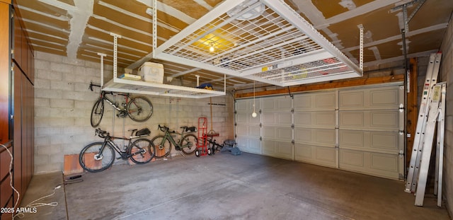 1910 E Citation Ln, Tempe, AZ 85284 - garage with concrete block wall