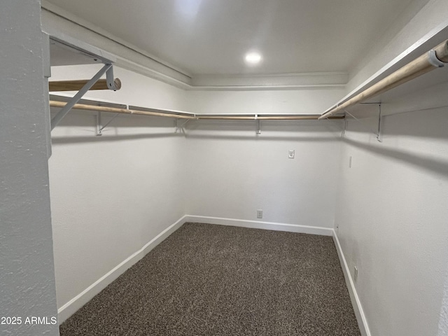 spacious closet featuring carpet floors