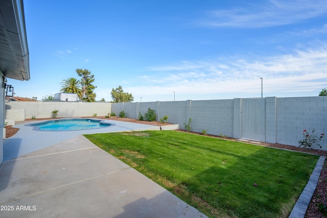 view of yard with a fenced backyard, a fenced in pool, and a patio