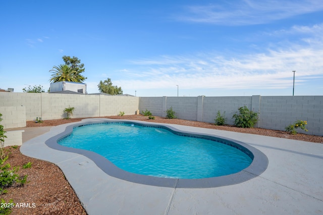 view of pool featuring a fenced in pool and a fenced backyard