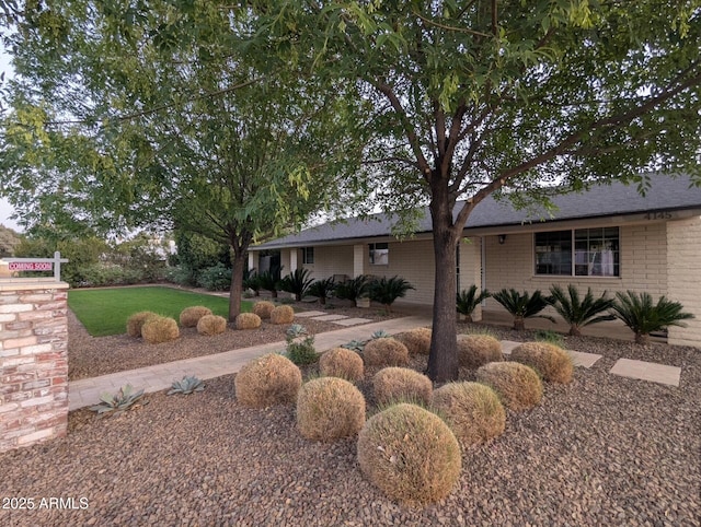 view of front of house with a front lawn and brick siding