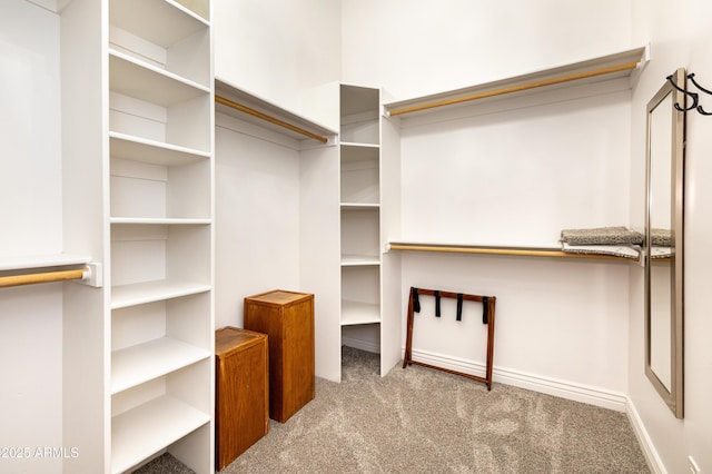 spacious closet featuring carpet