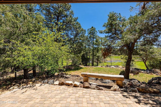 view of yard with a water view