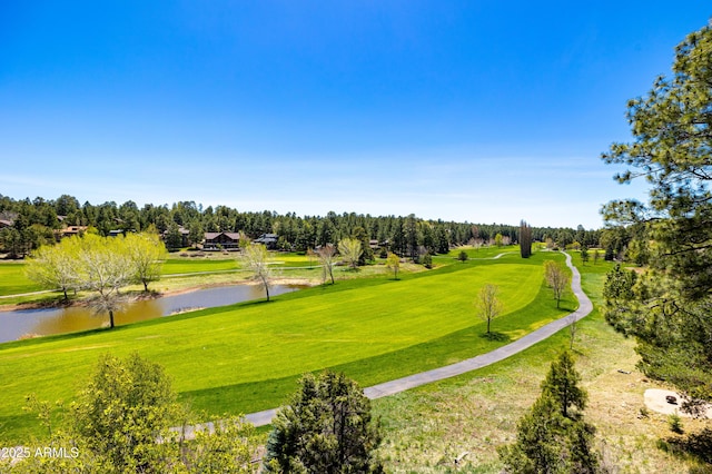 surrounding community featuring a water view and a lawn