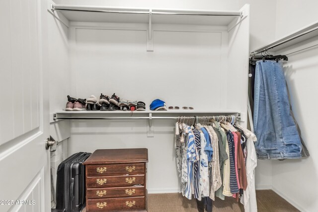 4279 N Spyglass Dr, Florence, AZ 85132 - spacious closet with carpet floors