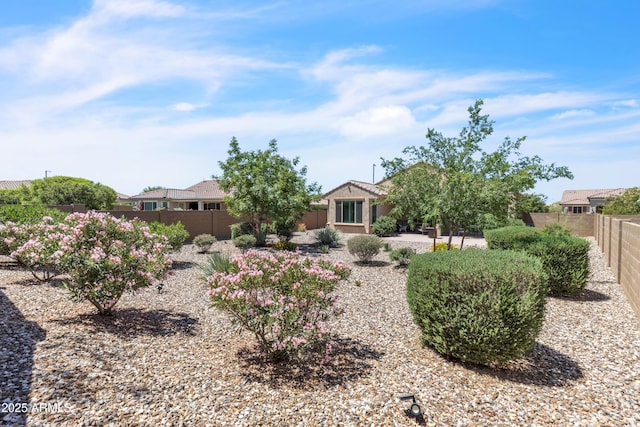 4279 N Spyglass Dr, Florence, AZ 85132 - exterior space featuring a fenced backyard and a patio area