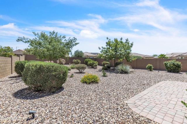 4279 N Spyglass Dr, Florence, AZ 85132 - view of yard featuring a patio area and a fenced backyard