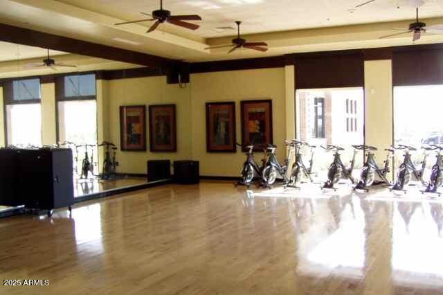 4279 N Spyglass Dr, Florence, AZ 85132 - exercise room with wood finished floors, ceiling fan, and a tray ceiling