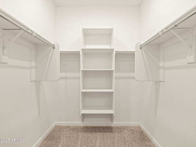 walk in closet with carpet flooring