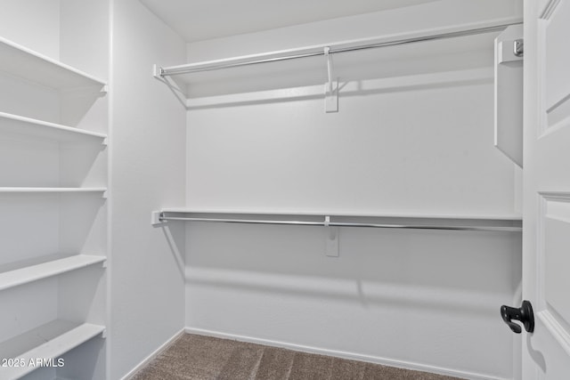 654 E Buckingham Ave, Gilbert, AZ 85297 - spacious closet featuring carpet floors