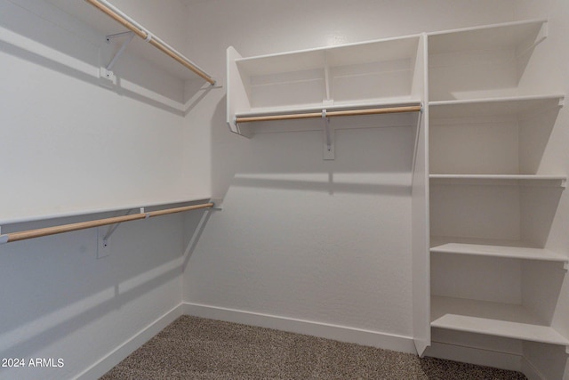 spacious closet with carpet flooring