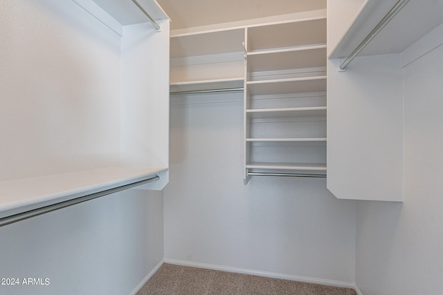 walk in closet with carpet flooring