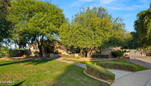 6429 S Honor Ct, Gilbert, AZ 85298 - view of yard