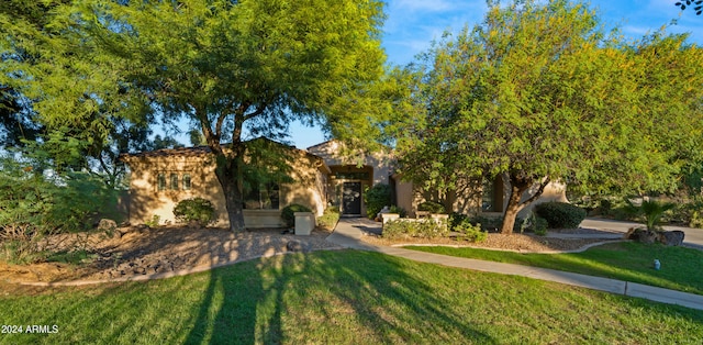 view of front facade with a front lawn and stucco siding