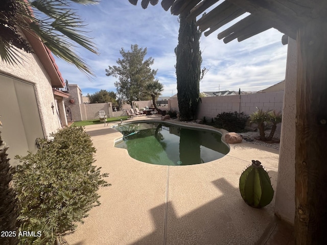 view of swimming pool with a patio