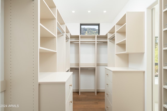 spacious closet featuring wood finished floors