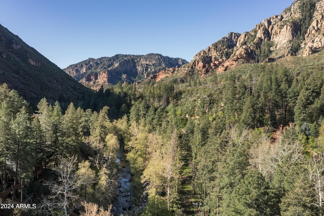 property view of mountains with a view of trees