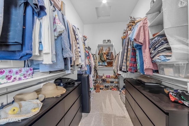 walk in closet with light carpet