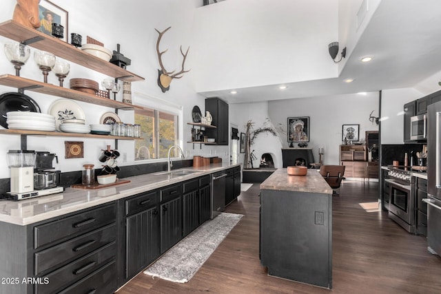 kitchen with dark hardwood / wood-style floors, sink, a high ceiling, a center island, and stainless steel appliances