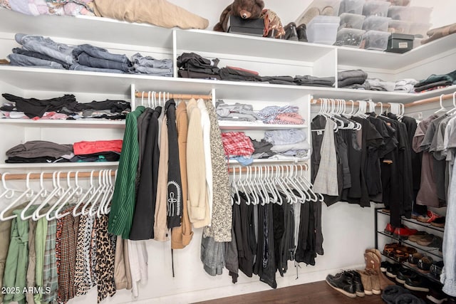 spacious closet with hardwood / wood-style flooring