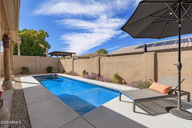 view of swimming pool featuring a patio area