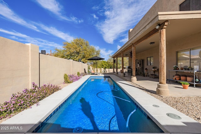 view of pool featuring a patio