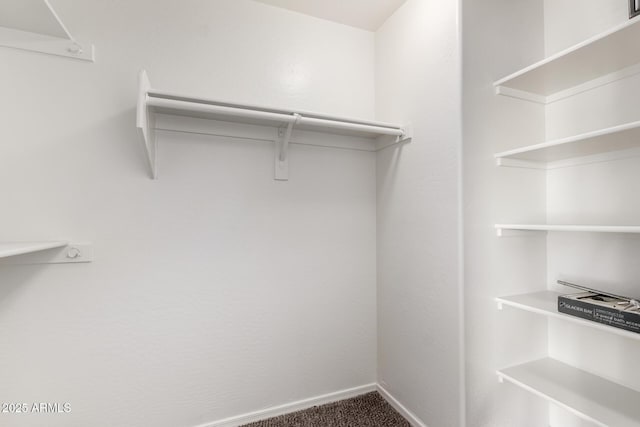 walk in closet featuring carpet flooring