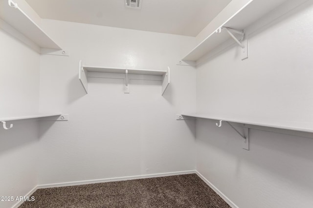 spacious closet with carpet floors and visible vents