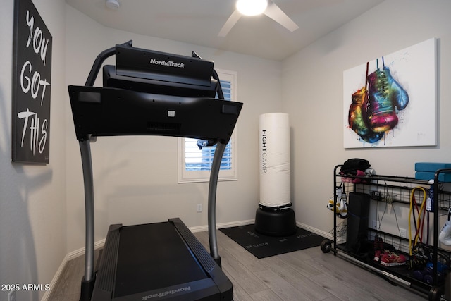 workout room featuring hardwood / wood-style flooring and ceiling fan