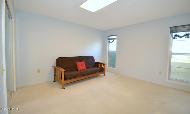 living area with carpet floors