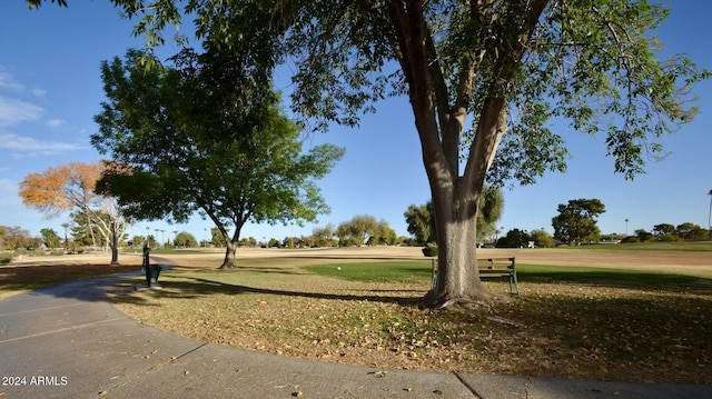 surrounding community with a lawn