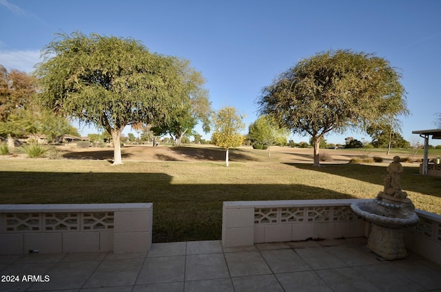 view of yard featuring a patio area