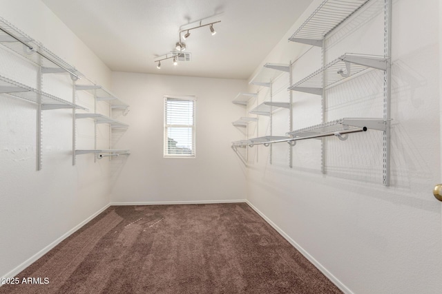 walk in closet with visible vents and carpet flooring