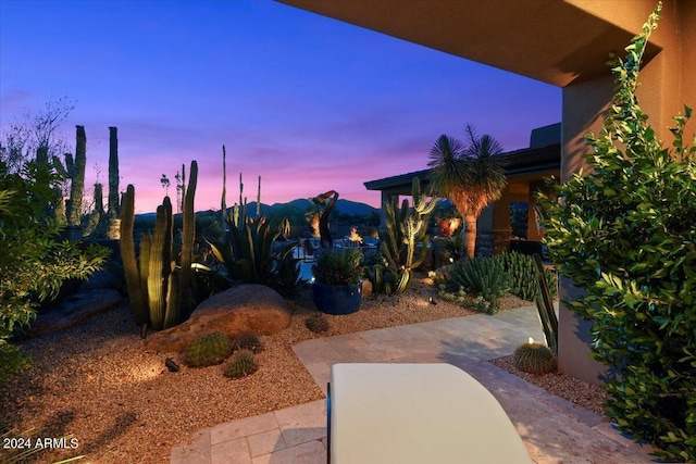 39254 N 104th Pl, Scottsdale, AZ 85262 - view of yard