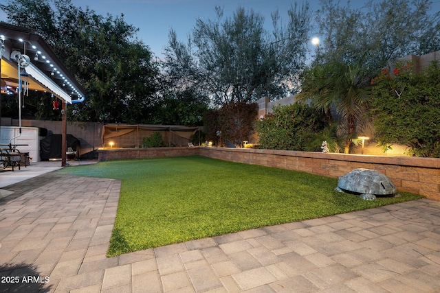 view of yard featuring a patio area and a fenced backyard