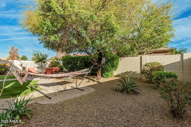 view of yard featuring a patio area and a fenced backyard