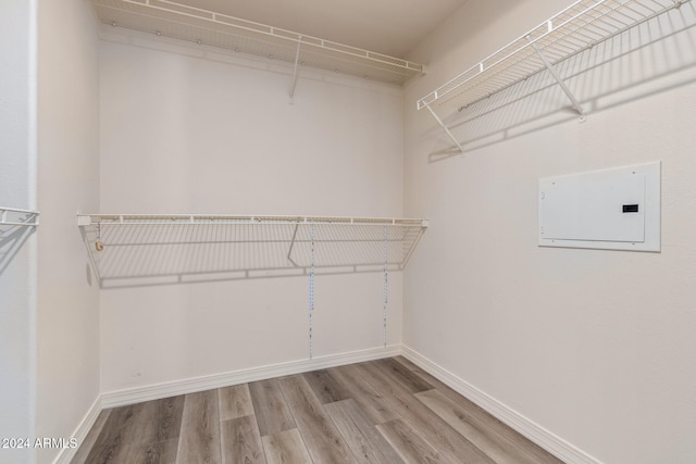 walk in closet with electric panel and wood-type flooring