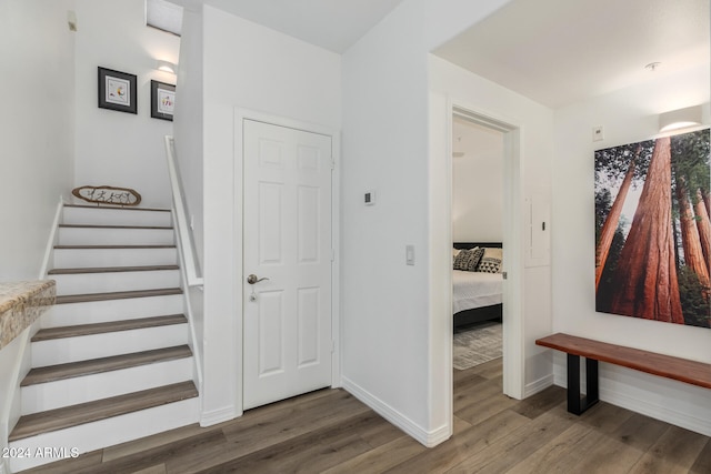 staircase with hardwood / wood-style floors