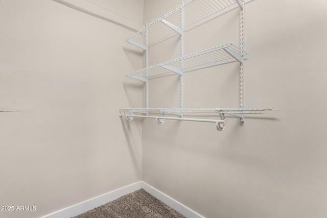 spacious closet with carpet