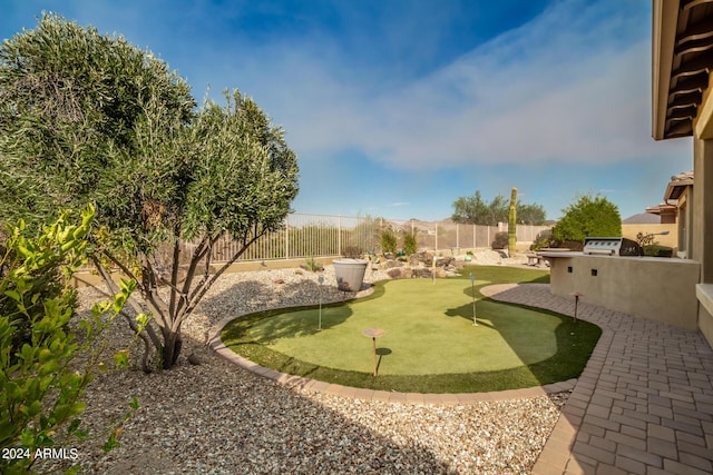 view of yard featuring a fenced backyard, exterior kitchen, and a patio area