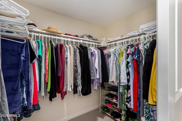 walk in closet featuring carpet flooring