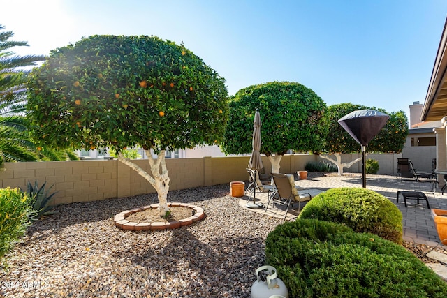 view of yard featuring a patio