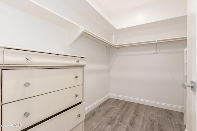 spacious closet featuring light hardwood / wood-style floors