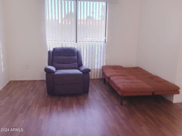 sitting room featuring hardwood / wood-style floors