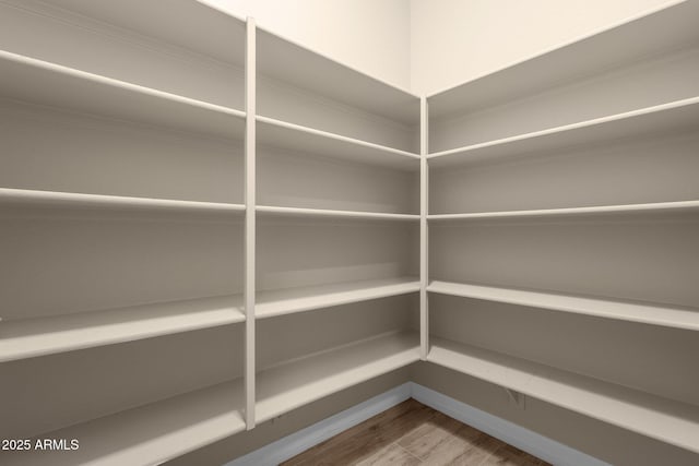 10350 E Texas Ave, Mesa, AZ 85212 - view of storage area